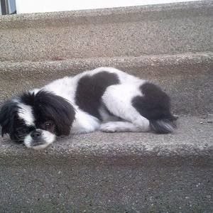 Meet your Posher, Kim